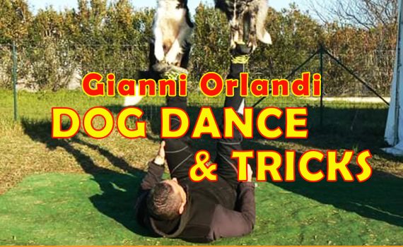 dog dance orlandi